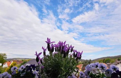 Ferienwohnungen Krüger 'Apartment Moni' - Foto 27