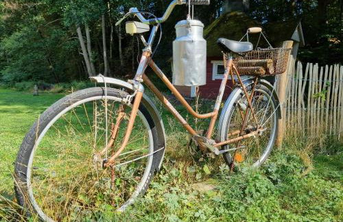 Ferienhaus Rehblick - direkt in der Natur, mit Lesezimmer und zwei Terrassen - Foto 32