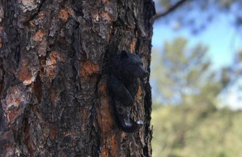 Gonzales Cozy Little Bear Cabin - Foto 13