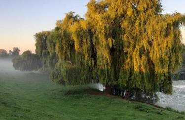 Haus Am Damm - Foto 24