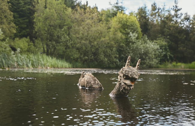 Mushroom Yurt set in 4 Acres of Woodland and Lakes - Foto 33