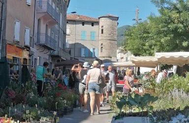 Studio Vans - Foto 19