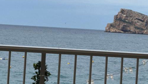 El Pato de Levante - Foto 2