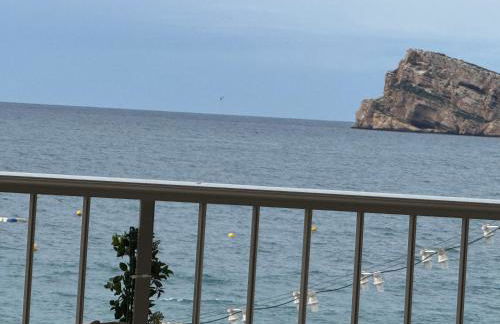 El Pato de Levante - Foto 2