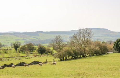 66 Dale Grove - Foto 35