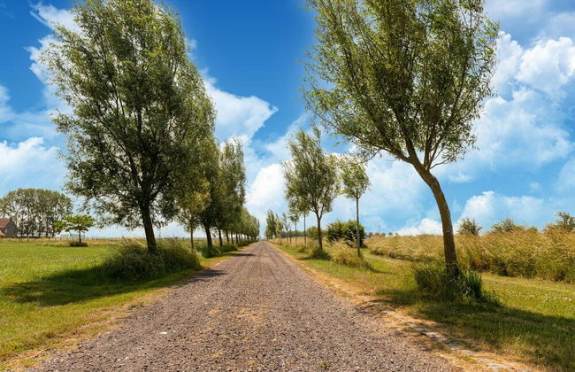 Premium Farmhouse in Nieuwmunster With Pool - Foto 39