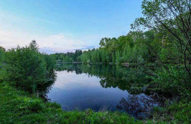 Modern Farm Home 2hr NYC BOS Peaceful Wifi - Foto 29