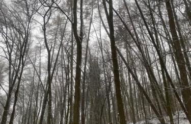 Altstadt Quartier 2 - Foto 13