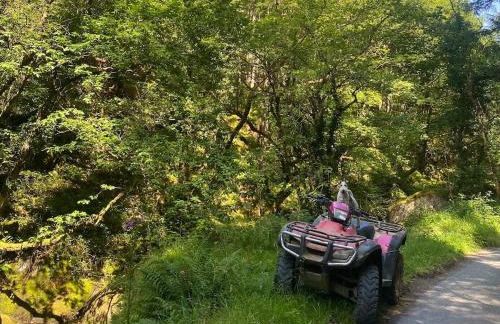 Cuckoo Cabin, Tyn Y Cwm - Photo 24