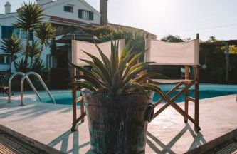 João Jungle - Foto 21