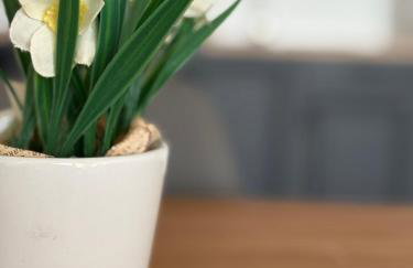 Idyllische Wohnung in Regen I Balkon I Bergblick I Burgnähe - Photo 28