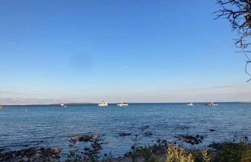 Rose house - Foto 30