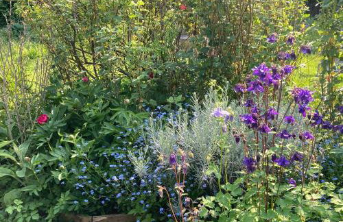 Simpers Drift, Great Glemham - Foto 47