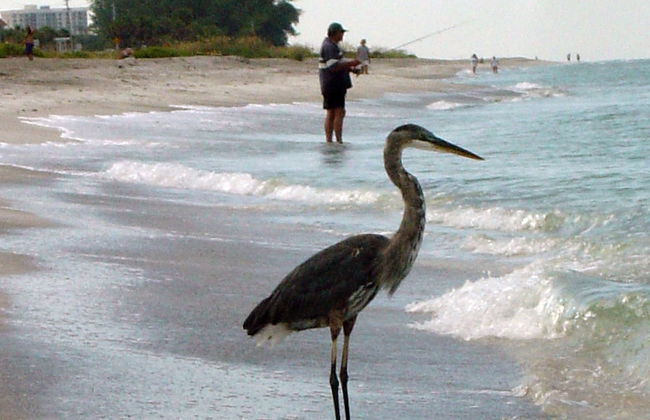Casa Del Mar Longboat Key - Foto 49