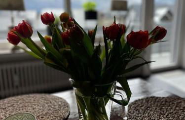 Ferienwohnung Sofie - Foto 13