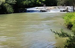 Cabana Pequeno Bosque Refúgio dás Águas - Foto 48