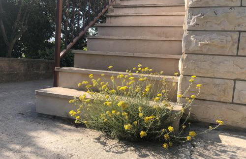 Garden apartman Split - Foto 37