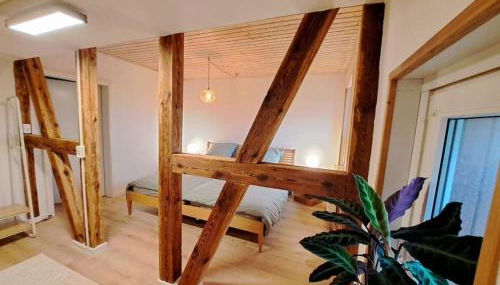 FeWo Ellerholz am Müritz Nationalpark - Foto 2