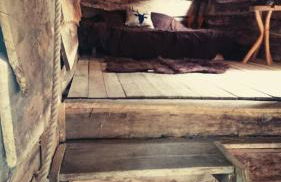 La Cabane Aux Loups - Foto 27