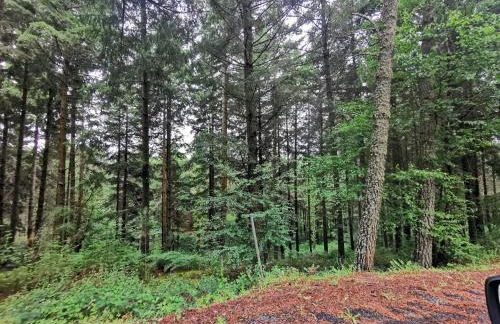 O Recuncho de Tibias - Foto 19