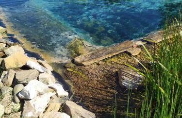 Villa Eleonora - Foto 44