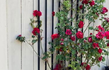 Separate Unit with 2 Bedrooms/One Bathroom in Pleasant Hill - Foto 12