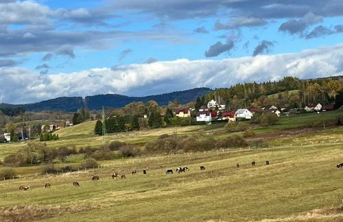 Domki nad Stawem Uherce - Foto 74
