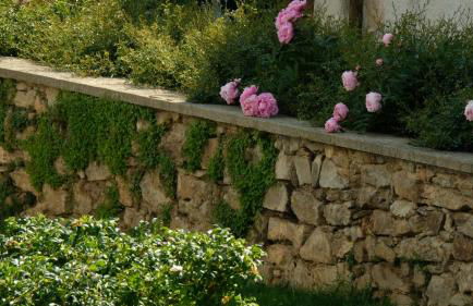 VILLA FELICE_UNESCO ALPS AREA - Foto 77