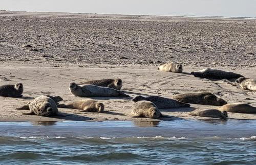 Ferienhaus Bonishof - Foto 56