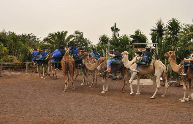 Giro in cammello a El Tanque - Foto 1