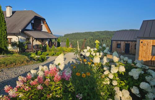 Chata w Bieszczadzie apartamenty i domki z basenem Bieszczady - Photo 61