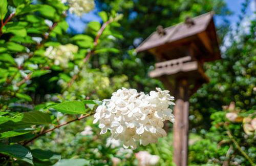 Ferienwohnungen Behling am Schufutsberg - Foto 63