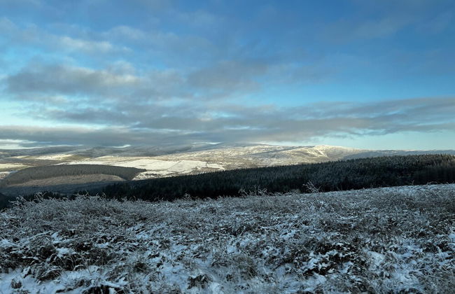 Beautiful Cottage Near Harlech With Ocean Views - Foto 18