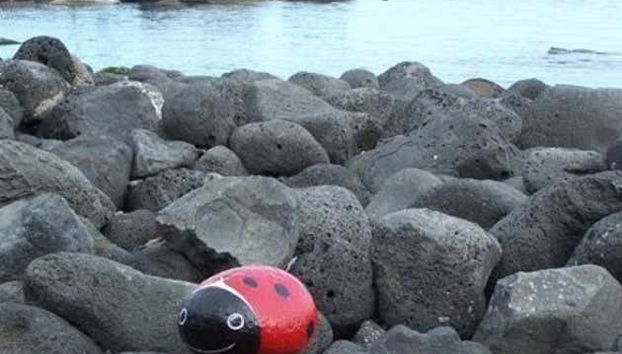 Una coccinella di pietra