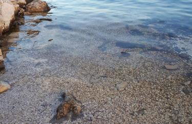 Beach House Marina Grande - Photo 10