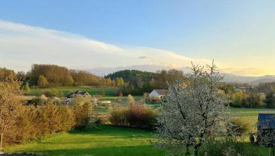 Domek pod borówką - Foto 2