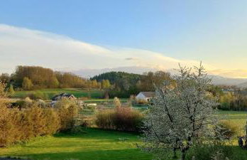 Domek pod borówką - Foto 2