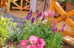 Mała Garda - Foto 33