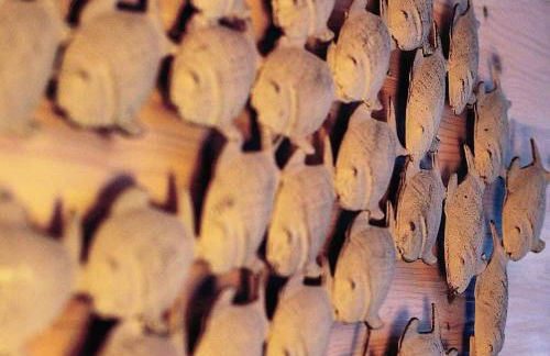 Hausboot Hafenkönig Lübeck - Foto 20