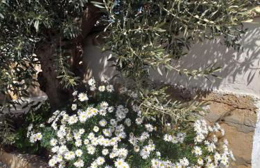 Casa le Gebbie - Photo 54