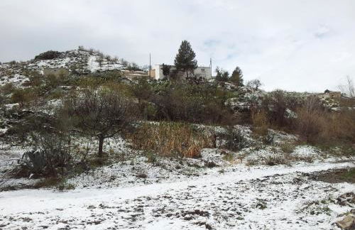 Cortijo Claudia - Foto 57