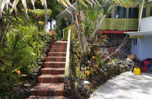 Fully renovated 4 bd with 2 master suits, 3 bth home in centralized location - Foto 3