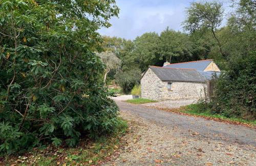 Cottage Tea Mamm , écrin de verdure et son jardin de thé, 3 étoiles - Foto 33