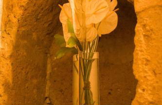 Palazzo Contino - Foto 33