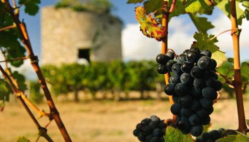 Otonneauxstress - Le pêcheur - Foto 3