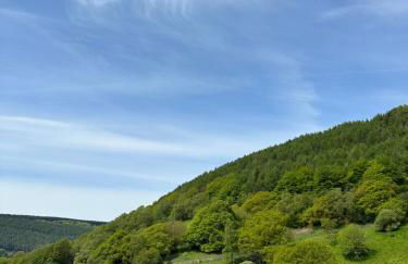 Ty Pentref - Cwmcarn Village House - Foto 42