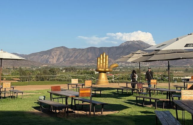 Private Deluxe Wine Tour to Valle de Guadalupe by Luxury Vehicle - Photo 25