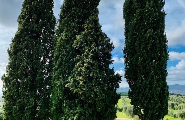 Tenuta Agricola Fraschiera - Foto 76