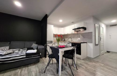 Apartamenty Parkowe nr 7 - Foto 14