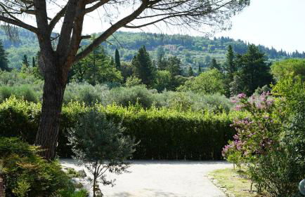 Villa Salviati - Foto 35